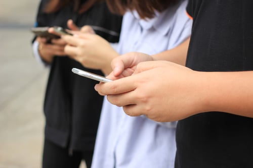 Mobile shoppers